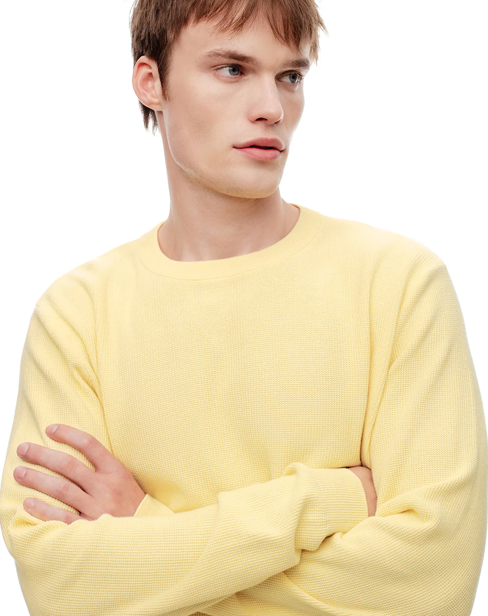 Buzo regular tejido algodón amarillo hombre - Image 3