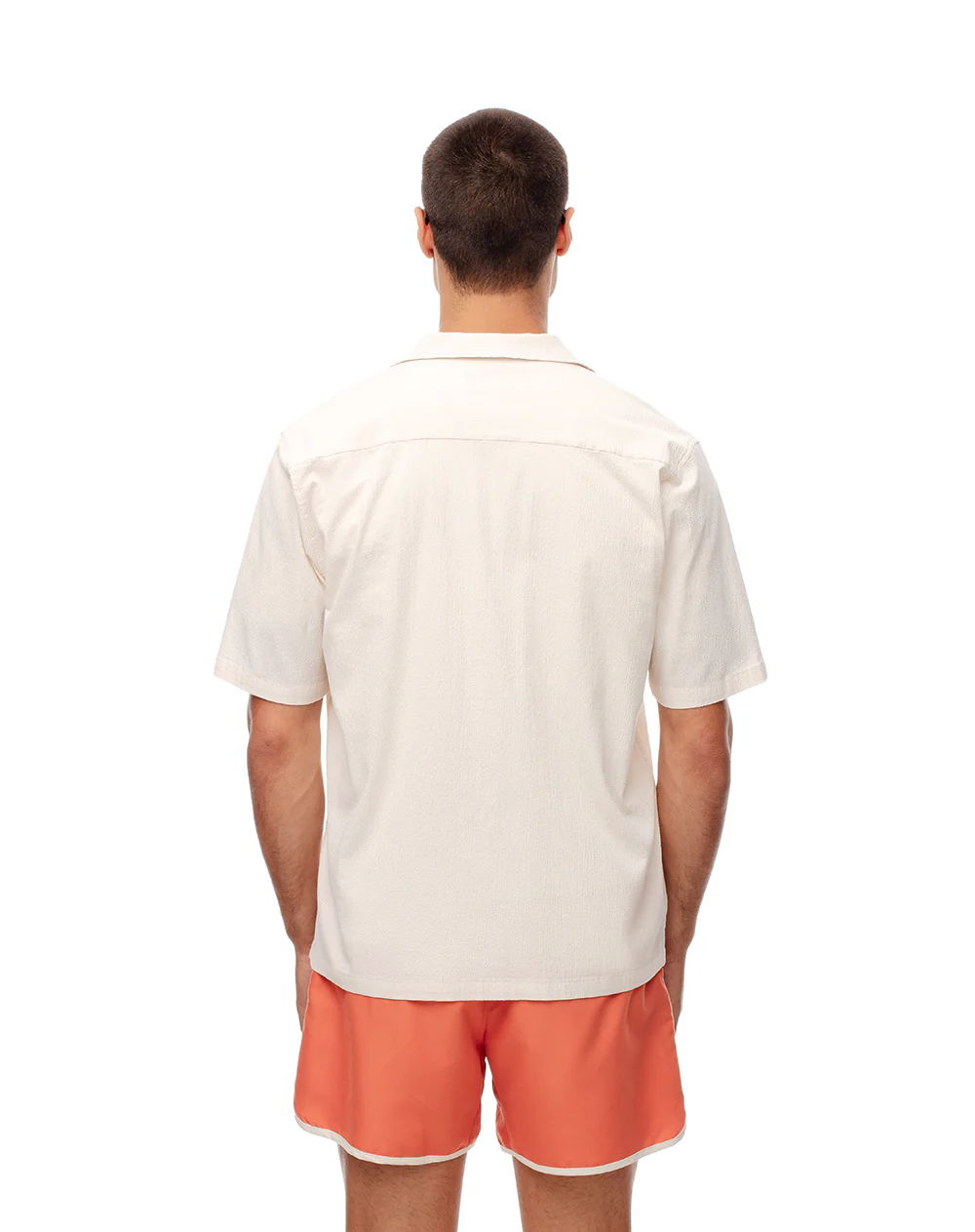 Camisa manga corta regular vainilla hombre - Image 2